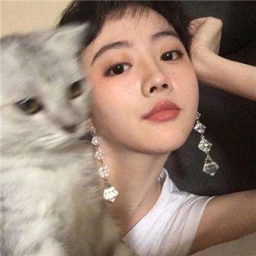 魔兽小宠物九游版下载